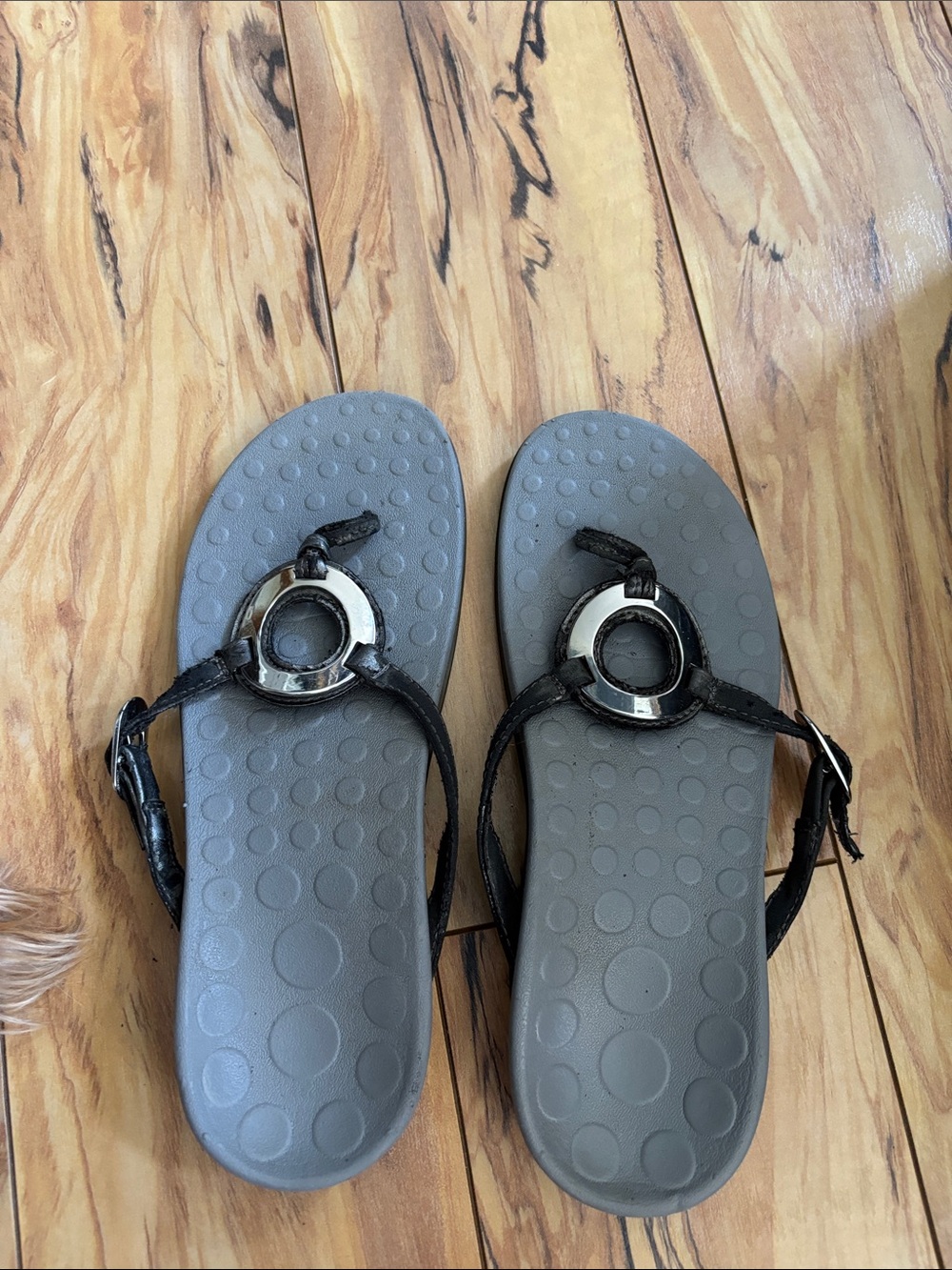 Women's Black Sandal with Gray Footbed - Classic Circle Accent